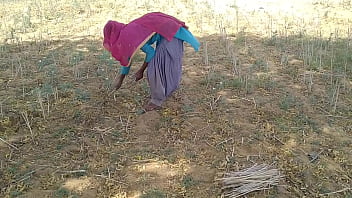 मजेदार देसी लड़के ने खेत में ही धमाकेदार चुदाई की अपनी गर्म प्रेमिका के साथ