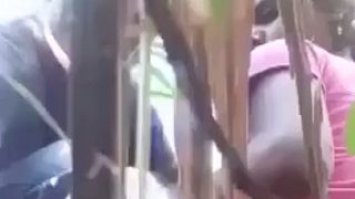 Unholy Harvest: A Village Couple’s Raw Fuck In The Sugarcane